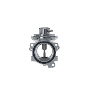 Compre Válvula egr de VALEO online para FELICIA I (6U1) a preços moderados