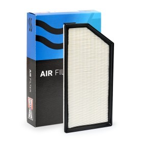 Luftfilter CAF101232P