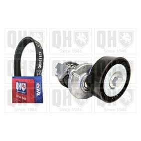 Acquista Kit Cinghie Poly-V da QUINTON HAZELL QDK181 a buon mercato per soli 99,35 €