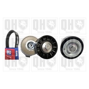 Acquista Kit Cinghie Poly-V da QUINTON HAZELL QDK206 a buon mercato per soli 162,98 €