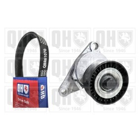 Acquista Kit Cinghie Poly-V da QUINTON HAZELL QDK213 a buon mercato per soli 132,19 €