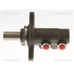 Hauptbremszylinder für PEUGEOT von TRISCAN