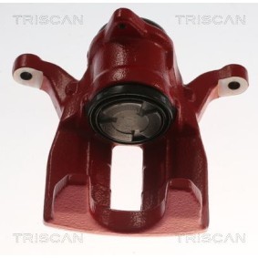 Bremssattel 8175 82205