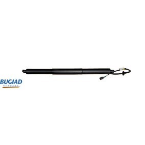 Compre Amortecedor da mala da BUGIAD BRD50769 a um preço baixo por 127,19 €
