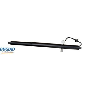 Achetez des Vérin de coffre BUGIAD BRD50803 à prix pour 141,03 €