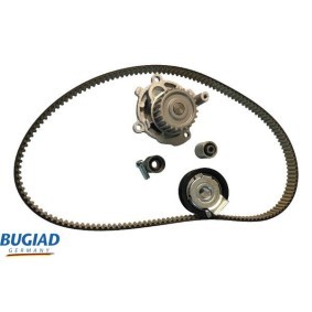 Acquista Kit cinghia distribuzione, pompa acqua da BUGIAD BTB56566 a buon mercato per soli 247,38 €