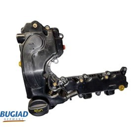 Compre Tampa das válvulas da BUGIAD BVC50079 a um preço baixo por 131,73 €