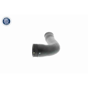Comprar Tensor de correa, correa dentada de VAICO V25-2381 a bajo precio de 62,92 €
