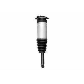 Osta Iskunvaimennin VAICO:llä V58-0284 edullisesti hintaan 1207,50 €