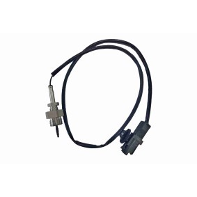 Acquista Sensore, temperatura gas scarico da VEMO online per MEGANE II Cassone / Furgonato / Promiscuo (KM_) a prezzi moderati