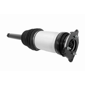 Acquista Ammortizzatore pneumatico da VEMO V58-50-0010 a buon mercato per soli 846,33 €