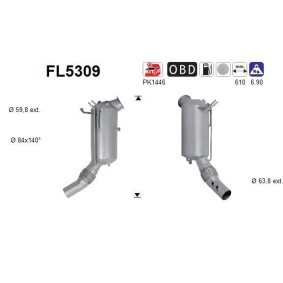Partikelfilter (DPF) FL5309
