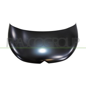 Motorhaube CI3303100