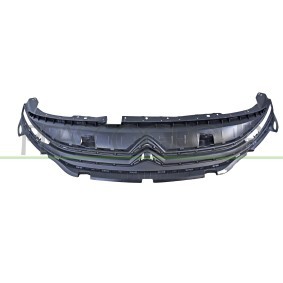 Kühlergrill CI9252001