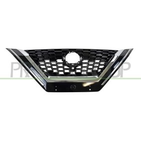 Kühlergrill DS7142011