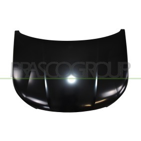 Motorhaube PG5043100