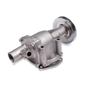 Wasserpumpe P070 für AUTOBIANCHI