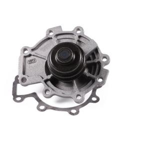 Wasserpumpe P252