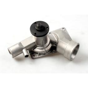 Wasserpumpe P384
