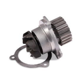 Achetez des Pompe à eau HEPU P624 à prix pour 36,27 €
