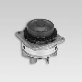Wasserpumpe P737