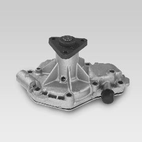 Wasserpumpe von HEPU