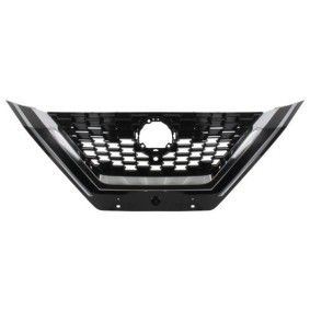 Kühlergrill 6502-07-1620911P