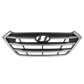 Kühlergrill 6502-07-3177995P