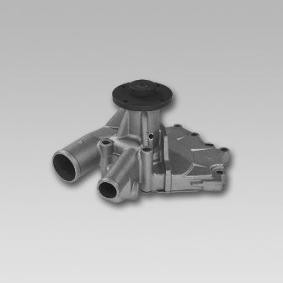Achetez des Pompe à eau GK 981736 à prix pour 101,25 €