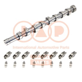 Acquista Albero a camme da IAP QUALITY PARTS 124-11080K a buon mercato per soli 392,68 €
