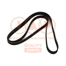 Keilrippenriemen von IAP QUALITY PARTS