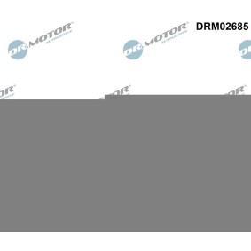 Kjøp Tetningsring, innsugsslange luftfilterkasse av DR.MOTOR AUTOMOTIVE DRM02685 til den lave prisen 130,36 NOK
