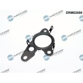 AGR-Ventil-Dichtung DRM02686