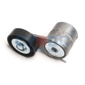 Comprar Polea tensora, correa poli V de Oyodo 20R9205-OYO a bajo precio de 49,99 €