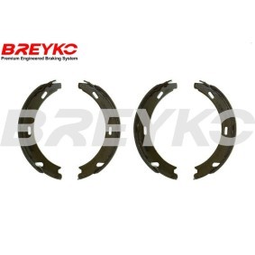 Bremsbackensatz W8208