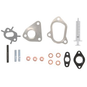 Comprar Juego de montaje, turbocompresor de EVORON EVMK0018 a bajo precio de 23,33 €