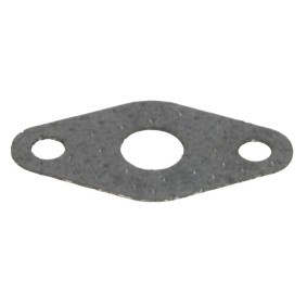 Dichtung, Ölauslass (Lader) von EVORON