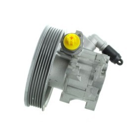 Servopumpe GKNY10151