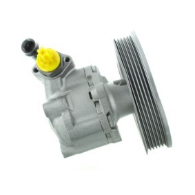 Servopumpe GKNY10152