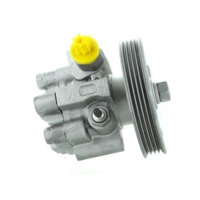 Acquista Pompa idraulica, sterzo da SPIDAN GKNY10153 a buon mercato per soli 347,17 €