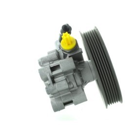 Servopumpe GKNY10154
