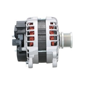 Lichtmaschine von BV PSH