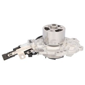 Achetez des Pompe à eau SWAG 33 11 0987 à prix pour 259,92 €