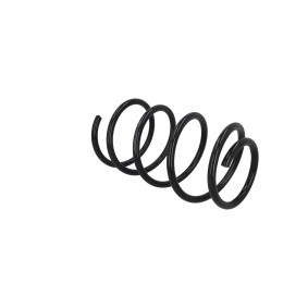 Fahrwerksfeder 2110553