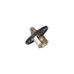 Kühlwasserthermostat 7710068 SSANGYONG RODIUS von KAMOKA