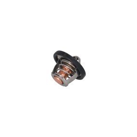 Kühlwasserthermostat 7710138
