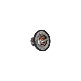 Kühlwasserthermostat 7710139