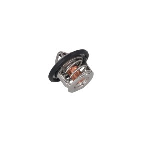 Achetez des Thermostat d'eau KAMOKA 7710145 à prix pour 10,74 €