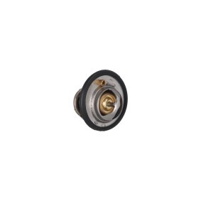 Achetez des Thermostat d'eau KAMOKA 7710146 à prix pour 10,18 €