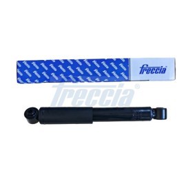 Stoßdämpfer von FRECCIA